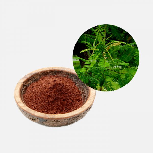 Acacia Catechu (Senegalia Catechu) Extract