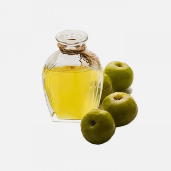 Amla CO2 (Phyllanthus Emblica) Extract