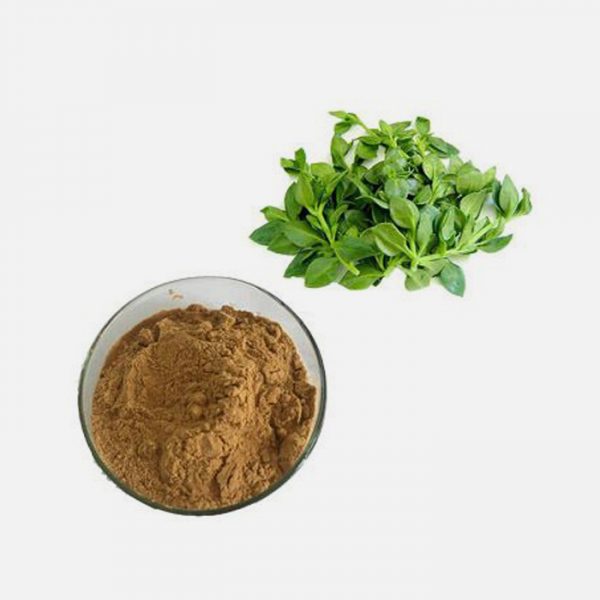 Andrographis Paniculata CO2 Extract