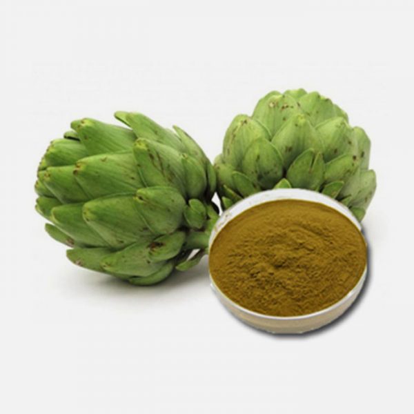 Artichoke (Cynara cardunculus var. scolymus) Extract