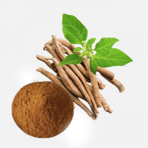 Ashwagandha (Withania Somnifera) Extract
