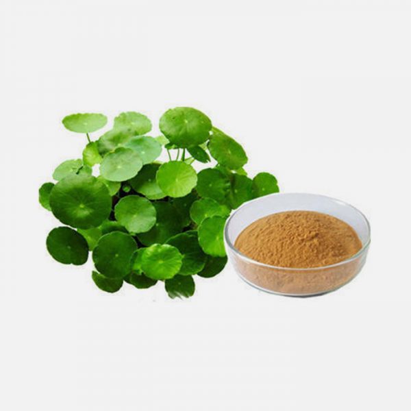 Bacopa Monneri CO2 Extract