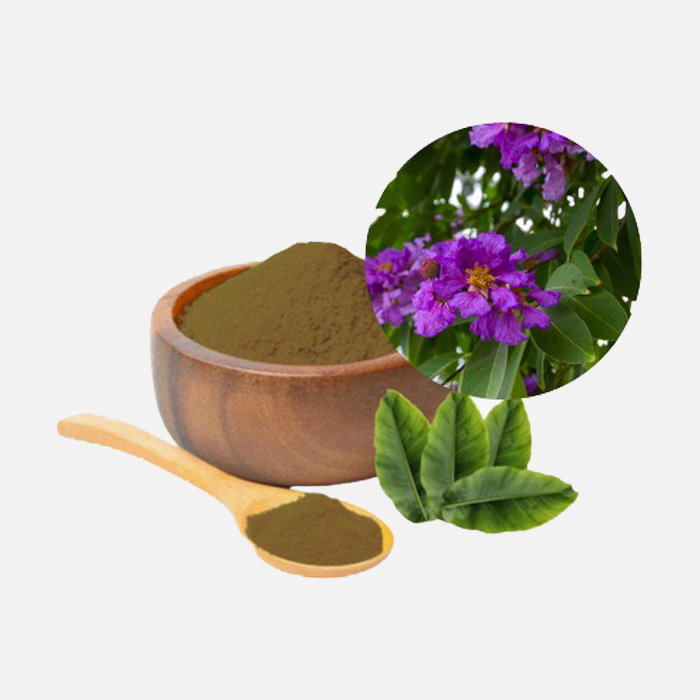 Banaba (Lagerstroemia speciosa) Extract