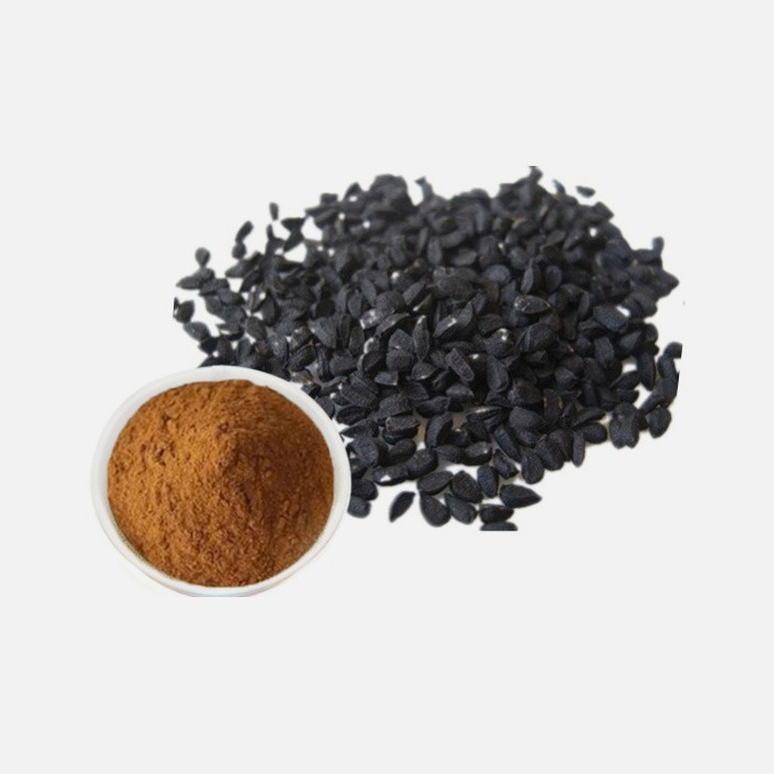 Black Cumin (Nigella sativa ) Extract