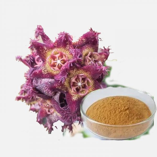 Caralluma Fimbriata