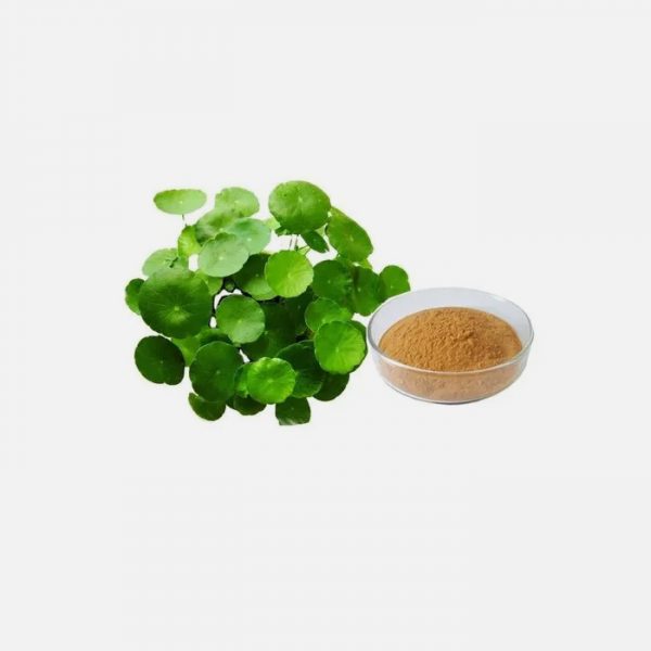 Centellia Asiatica (Gotu Kola) Extract