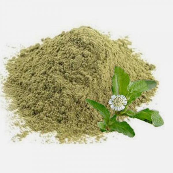 Cissus Quadrangularis Extract