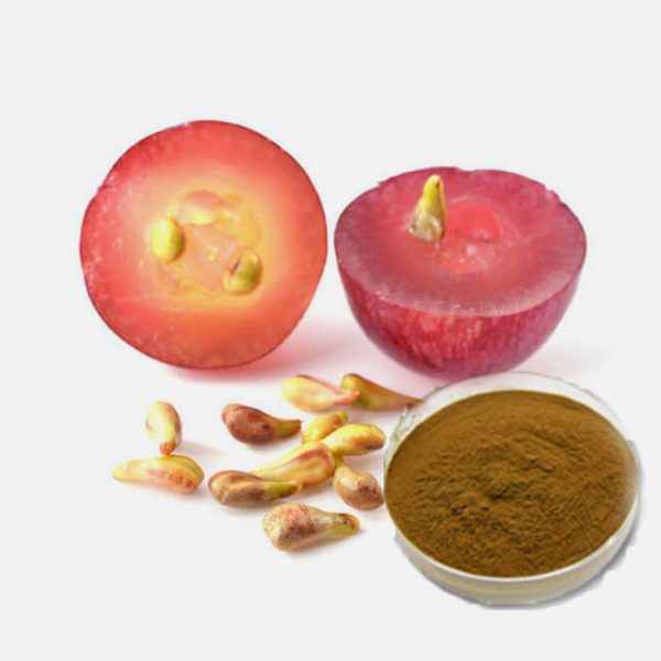 Grape Seed (Vitis vinifera)