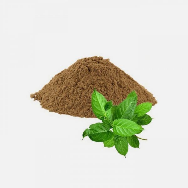 Gymnema Sylvestre Extract