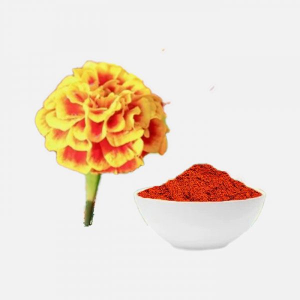 Lutein CWD Powder