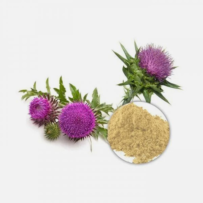 Milk Thistle (Silybum Marianum) Extract