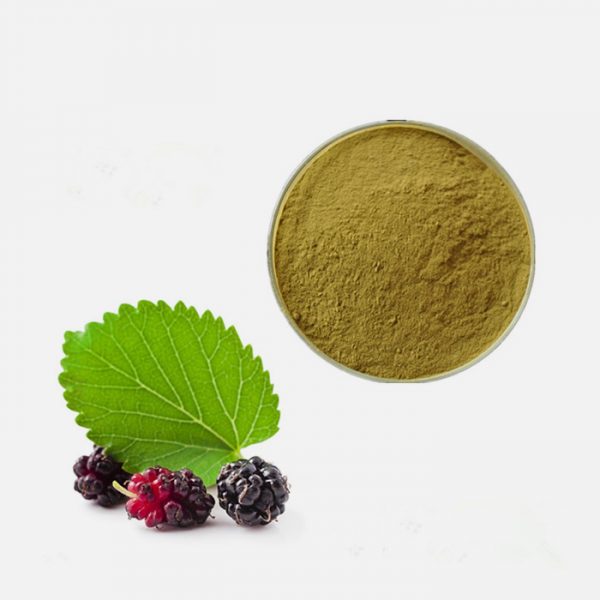 Mulberry Leaf (Morus Alba) Extract