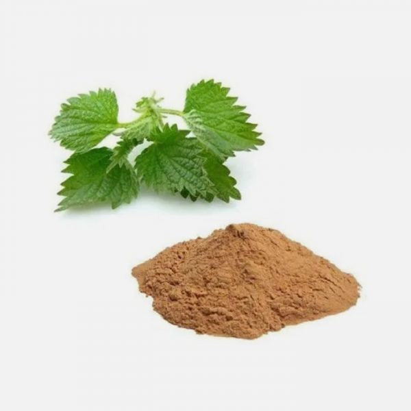 Nettle Root (Urtica Dioica) Extract