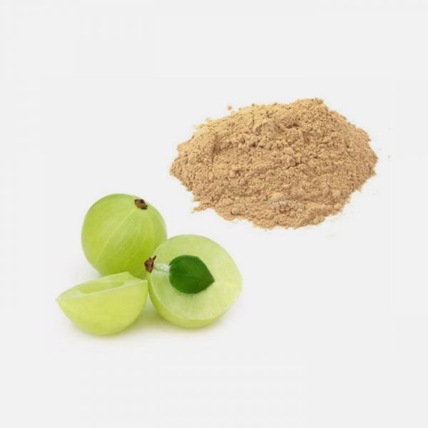 Organic Amla (Phyllanthus Emblica)