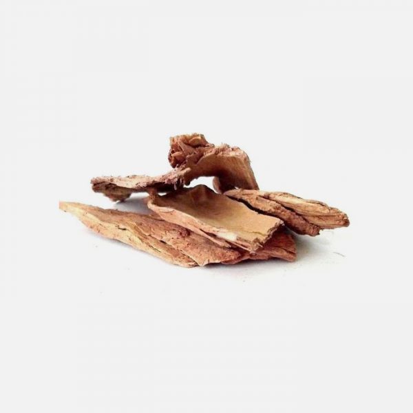 Organic Arjuna Terminalia