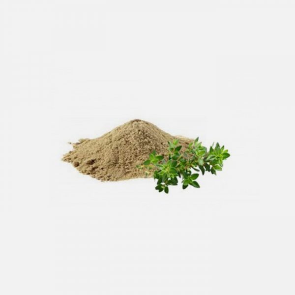 Organic Bacopa (Monnieri) Extract