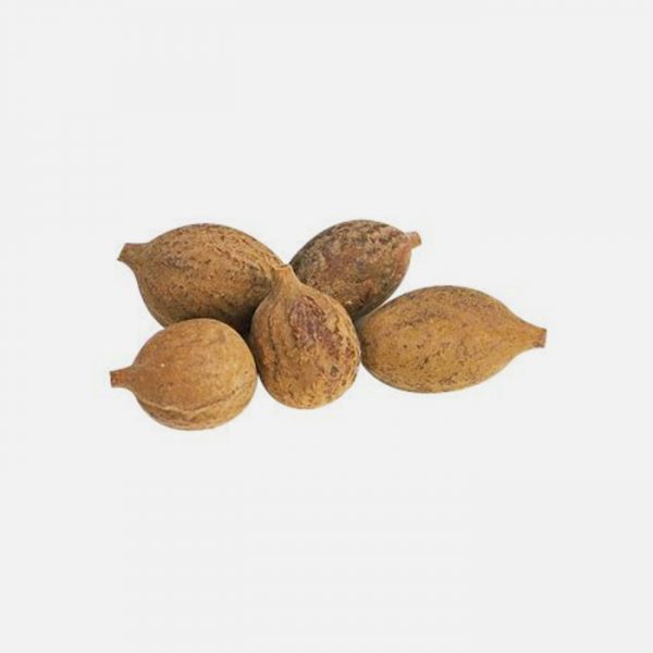 Organic Baheda (Terminalia Bellirica)
