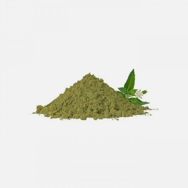 Organic Bhringraj (Eclipta prostrata)