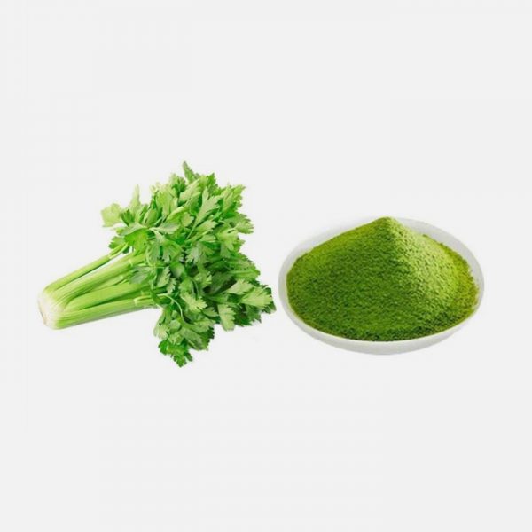 Organic Celery (Apium Graveolens) Extract Powder