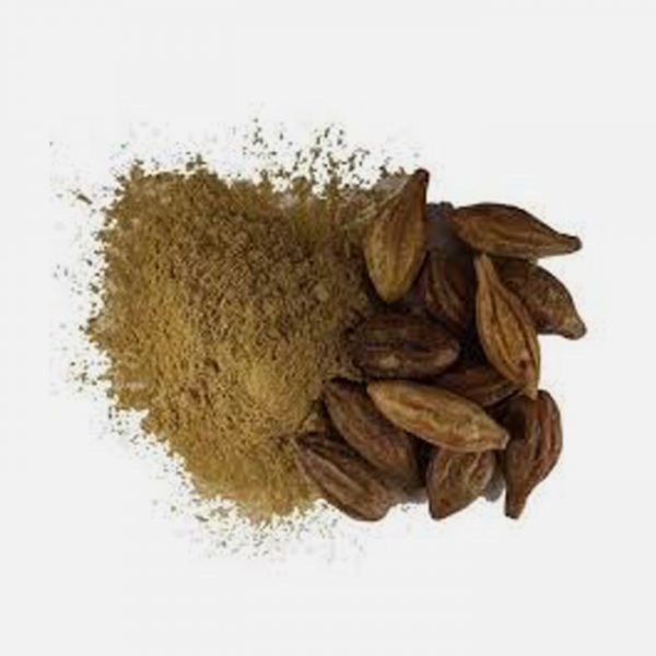 Organic Harde (Terminalia Chebula)