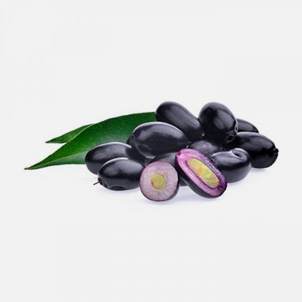 Organic Jamun (Syzygium Cumini)