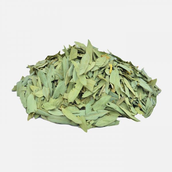 Organic Senna (Cassia angustifolia)