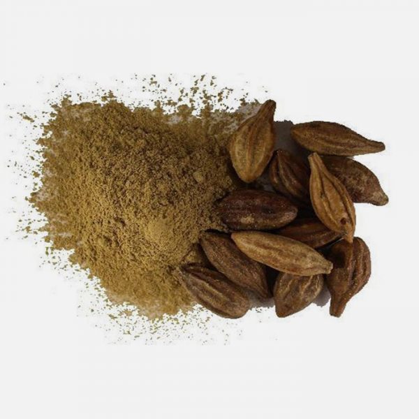 Organic Triphala (Phyllanthus emblica, Terminalia bellirica, Terminalia chebula)
