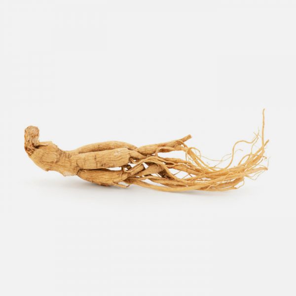 Panax Ginseng Quinquefolius