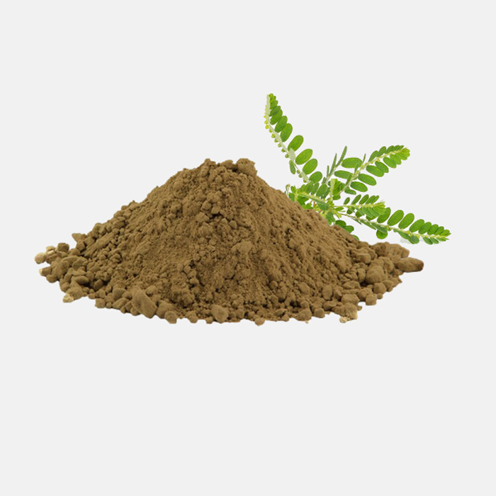 Phyllanthus Amarus/ Niruri Extract