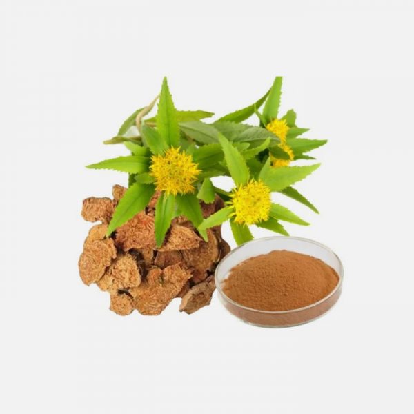 Rhodiola rosea Root
