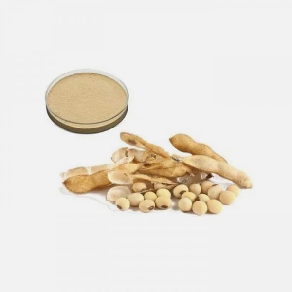 Soy Isoflavones Glycine Max