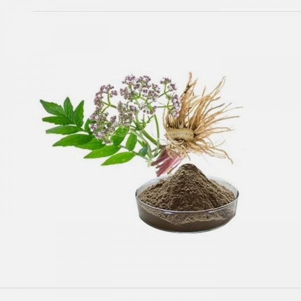 Valeriana Officinalis Extract