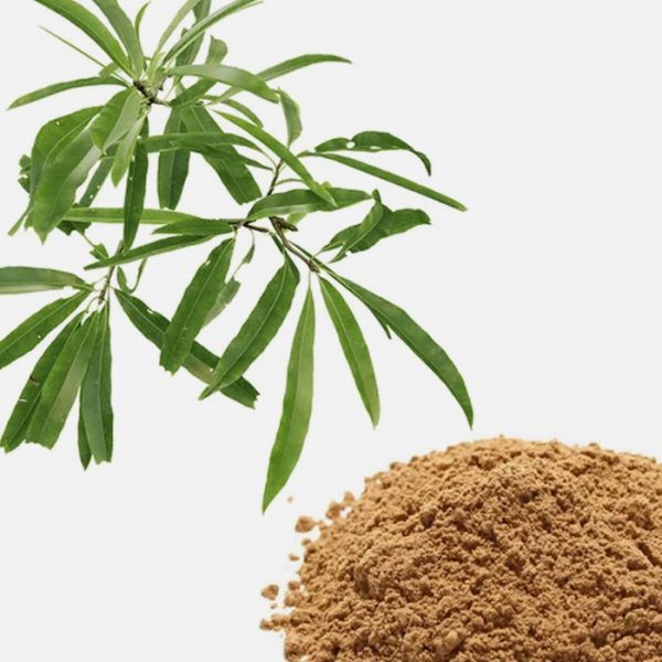 Willow Bark  (Salix) Extract