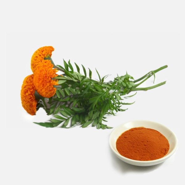 Zeaxanthin (Carotenoids) Extract