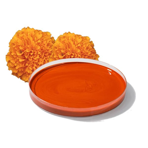 Lutein Ester Oil (Tegets Erecta)