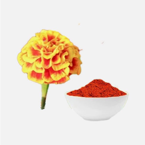 Lutein Ester Powder (Tegets Erecta)