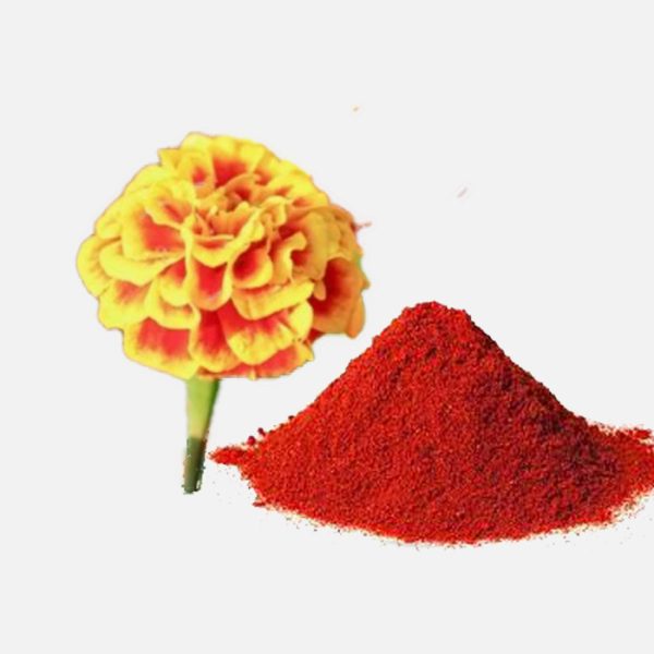 Lutein Extract Powder