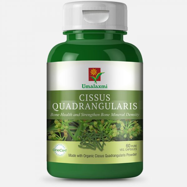 Cissus Quadrangularis