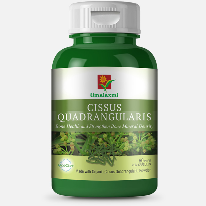 Cissus Quadrangularis