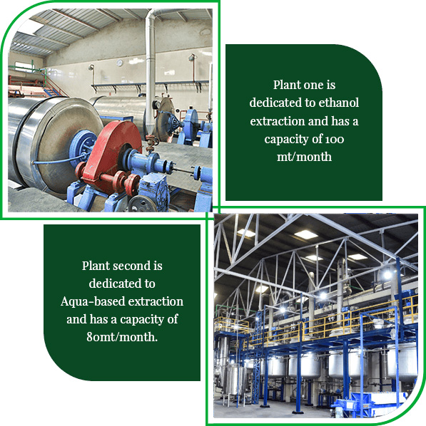 Umalaxmi Organics manufacturing facility showing ethanol and aqua-based extraction plants with monthly production capacity