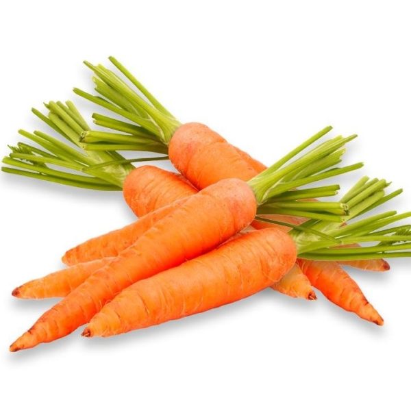 Carrot Seed