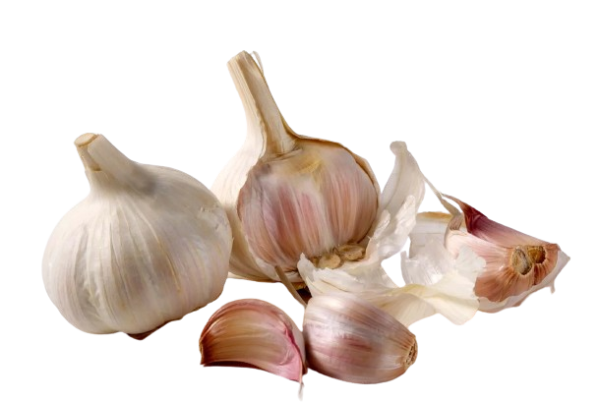 Garlic Oil