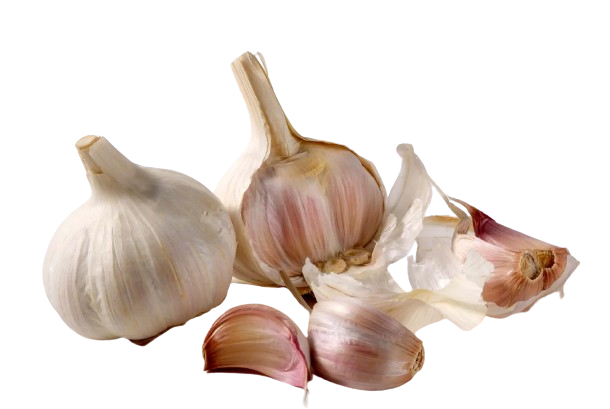 Garlic Oil