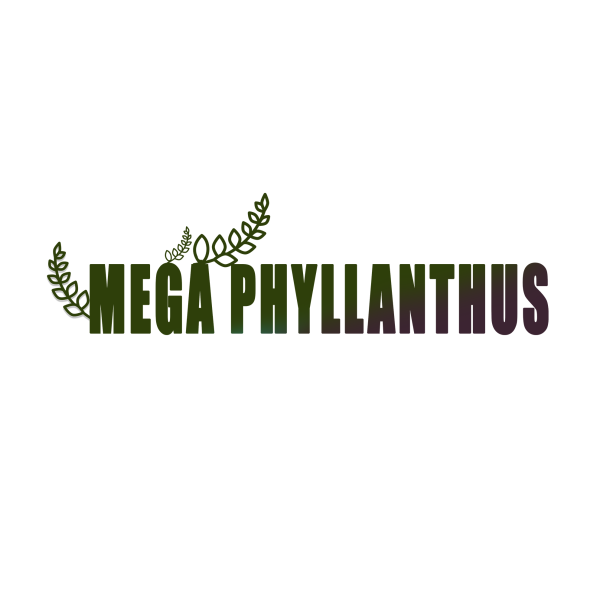 Megaphyllanthus™