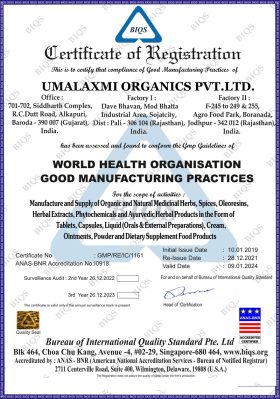 World Health Organization Good Manufacturing Practices
